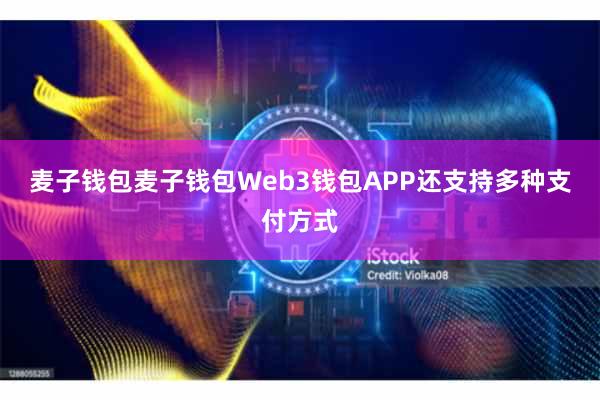 麦子钱包麦子钱包Web3钱包APP还支持多种支付方式