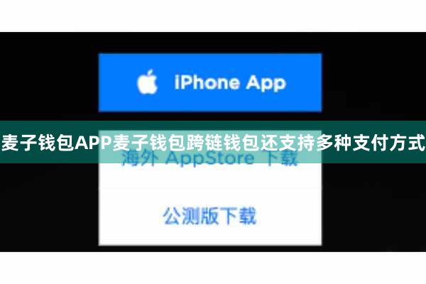 麦子钱包APP麦子钱包跨链钱包还支持多种支付方式