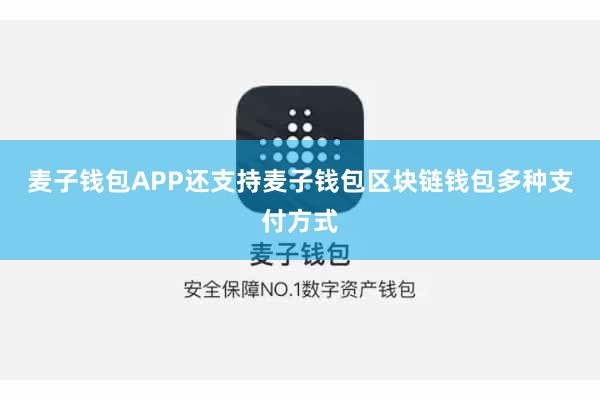 麦子钱包APP还支持麦子钱包区块链钱包多种支付方式