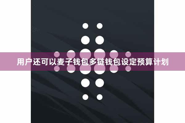 用户还可以麦子钱包多链钱包设定预算计划