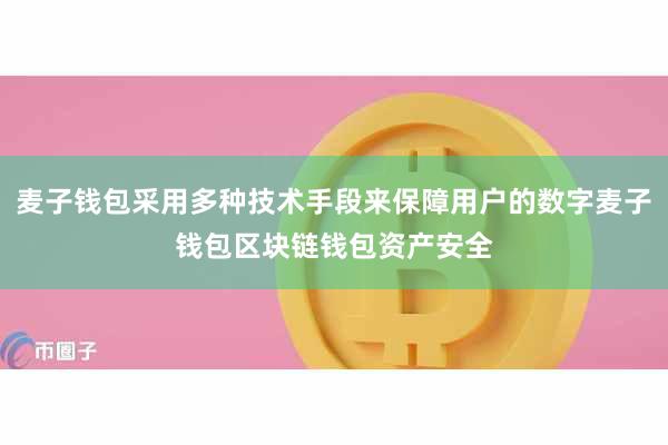 麦子钱包采用多种技术手段来保障用户的数字麦子钱包区块链钱包资产安全