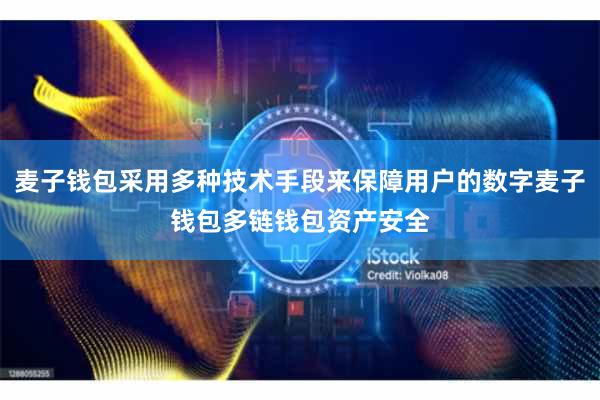 麦子钱包采用多种技术手段来保障用户的数字麦子钱包多链钱包资产安全