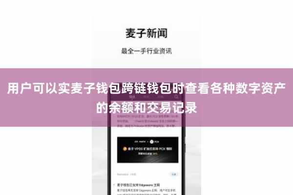 用户可以实麦子钱包跨链钱包时查看各种数字资产的余额和交易记录