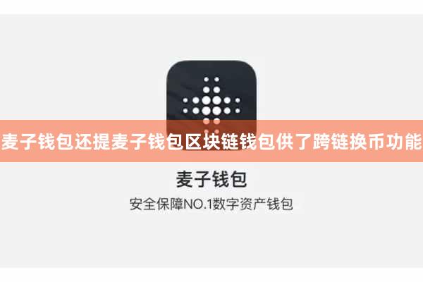 麦子钱包还提麦子钱包区块链钱包供了跨链换币功能
