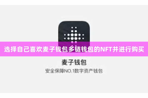 选择自己喜欢麦子钱包多链钱包的NFT并进行购买