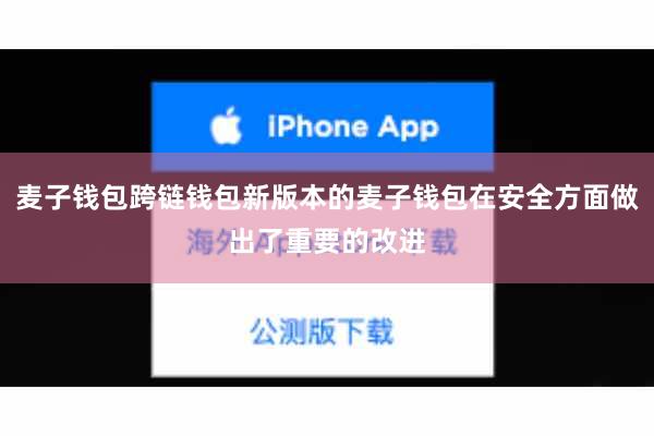 麦子钱包跨链钱包新版本的麦子钱包在安全方面做出了重要的改进