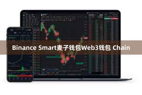 Binance Smart麦子钱包Web3钱包 Chain