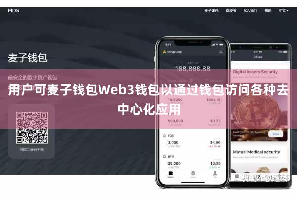 用户可麦子钱包Web3钱包以通过钱包访问各种去中心化应用