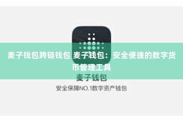 麦子钱包跨链钱包 麦子钱包:安全便捷的数字货币管理工具