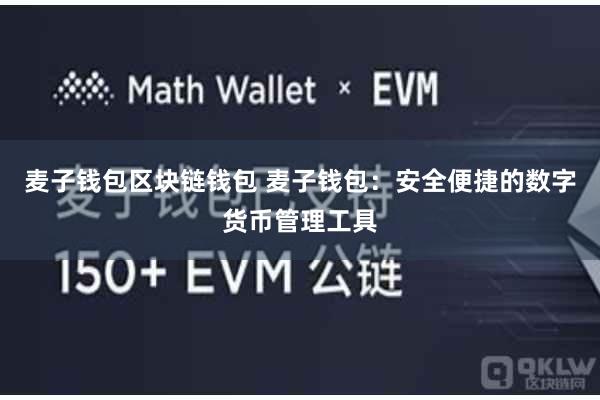 麦子钱包区块链钱包 麦子钱包:安全便捷的数字货币管理工具