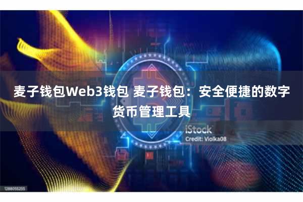 麦子钱包Web3钱包 麦子钱包:安全便捷的数字货币管理工具