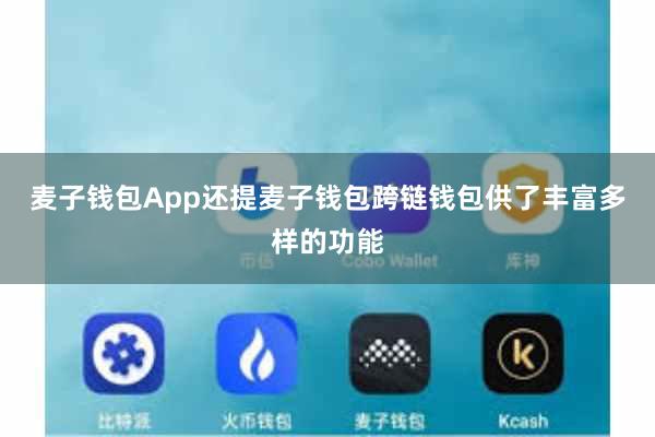 麦子钱包App还提麦子钱包跨链钱包供了丰富多样的功能