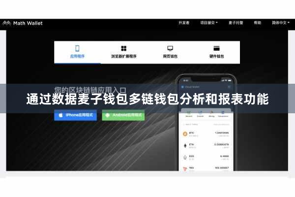 通过数据麦子钱包多链钱包分析和报表功能