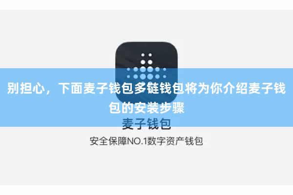 别担心，下面麦子钱包多链钱包将为你介绍麦子钱包的安装步骤