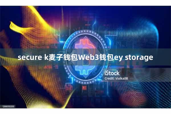 secure k麦子钱包Web3钱包ey storage
