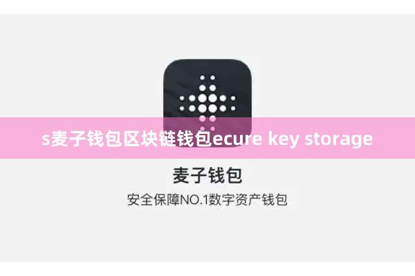 s麦子钱包区块链钱包ecure key storage
