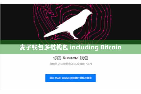麦子钱包多链钱包 including Bitcoin