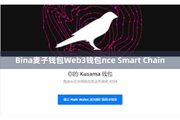 Bina麦子钱包Web3钱包nce Smart Chain