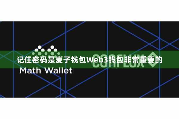 记住密码是麦子钱包Web3钱包非常重要的