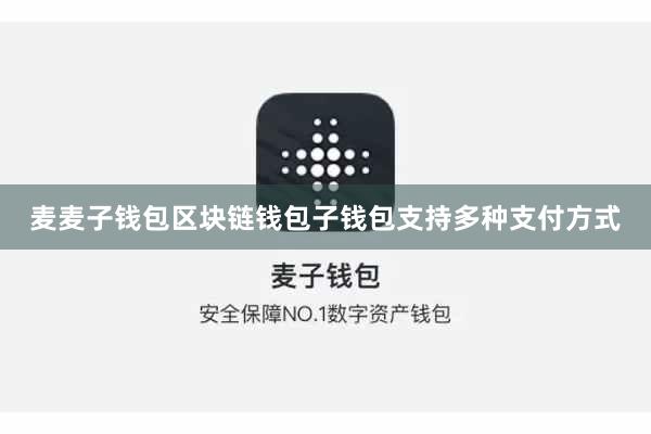 麦麦子钱包区块链钱包子钱包支持多种支付方式