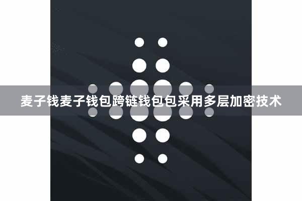 麦子钱麦子钱包跨链钱包包采用多层加密技术