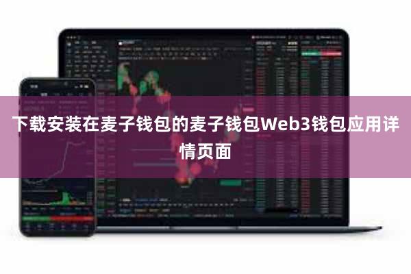 下载安装在麦子钱包的麦子钱包Web3钱包应用详情页面