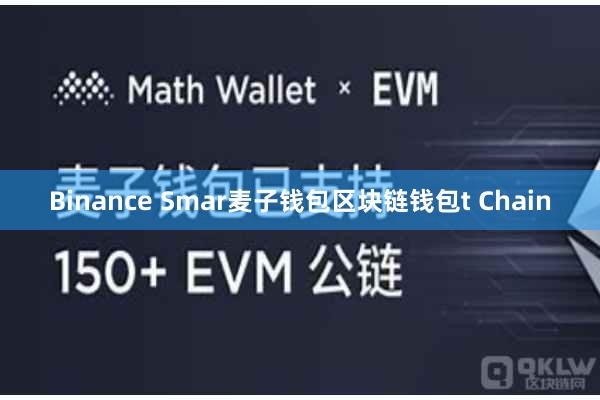 Binance Smar麦子钱包区块链钱包t Chain