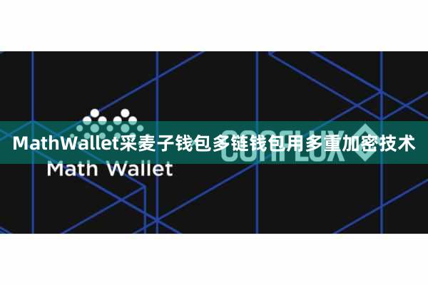 MathWallet采麦子钱包多链钱包用多重加密技术