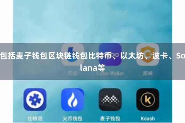 包括麦子钱包区块链钱包比特币、以太坊、波卡、Solana等
