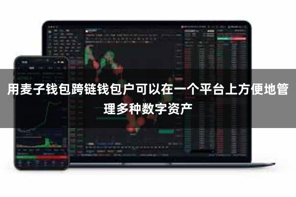 用麦子钱包跨链钱包户可以在一个平台上方便地管理多种数字资产
